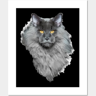 Maine Coon Posters and Art